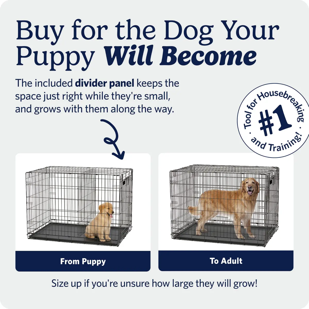 MidWest 30-Inch Single Door iCrate for Medium Breeds 21-40 lbs | Secure, Foldable & Durable - view 3
