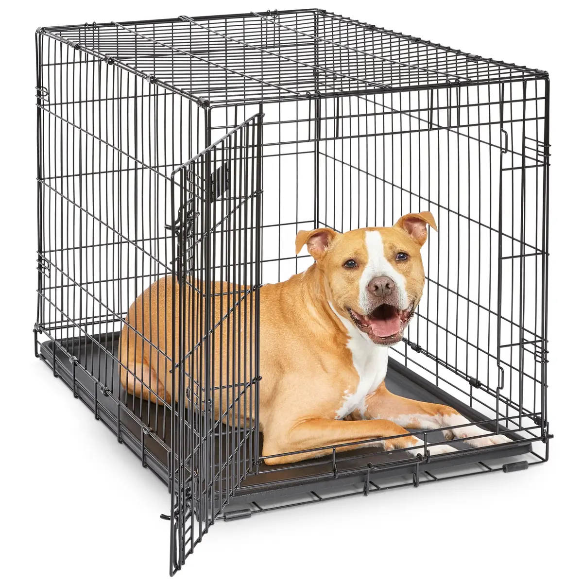 MidWest 36-Inch Single Door iCrate for Medium-Large Breeds 41-70 lbs | Secure, Foldable & Durable - main product image