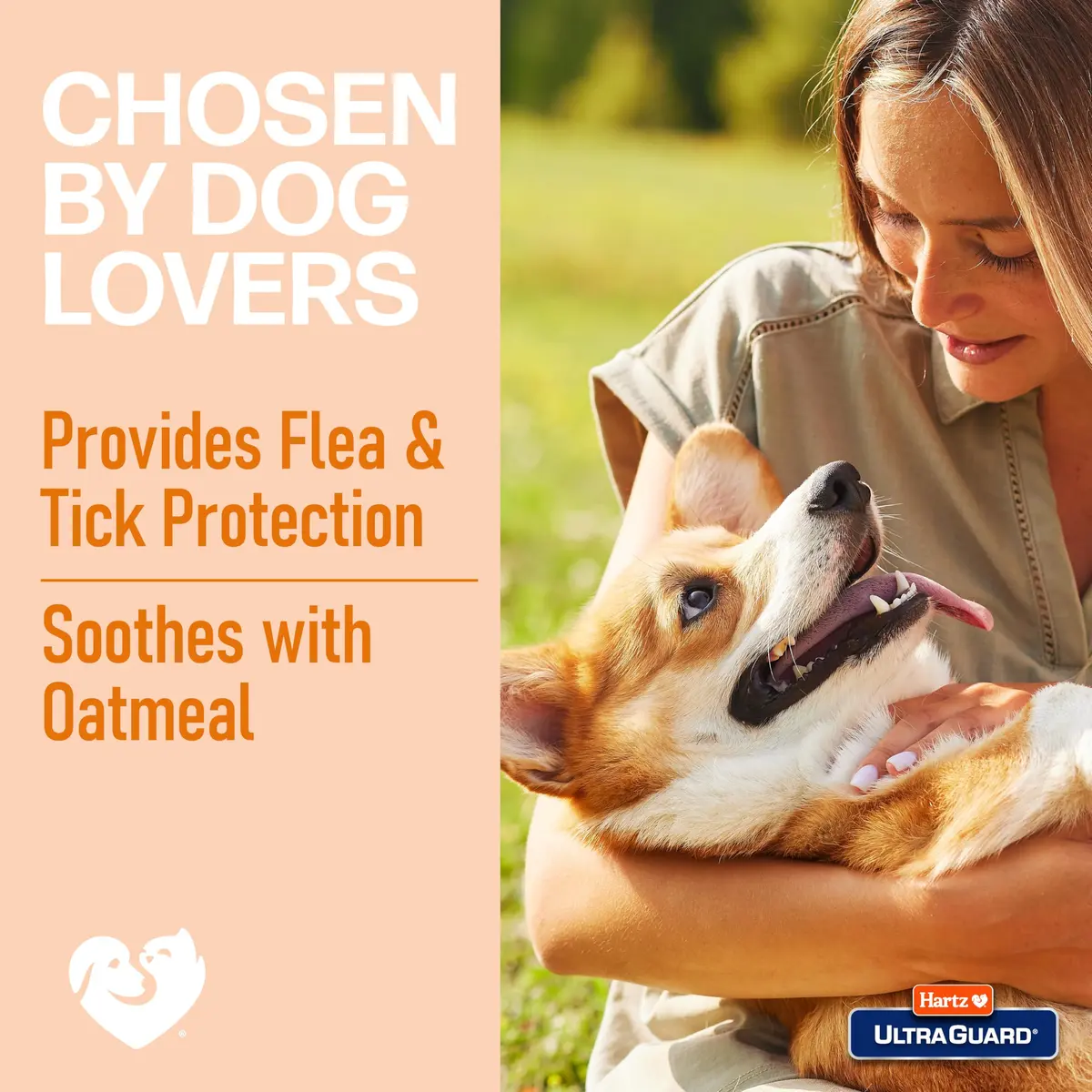 Hartz UltraGuard Rid Flea & Tick Oatmeal Dog Shampoo, 18 fl oz | Flea & tick relief with soothing oatmeal for dogs 6 months+ - view 6