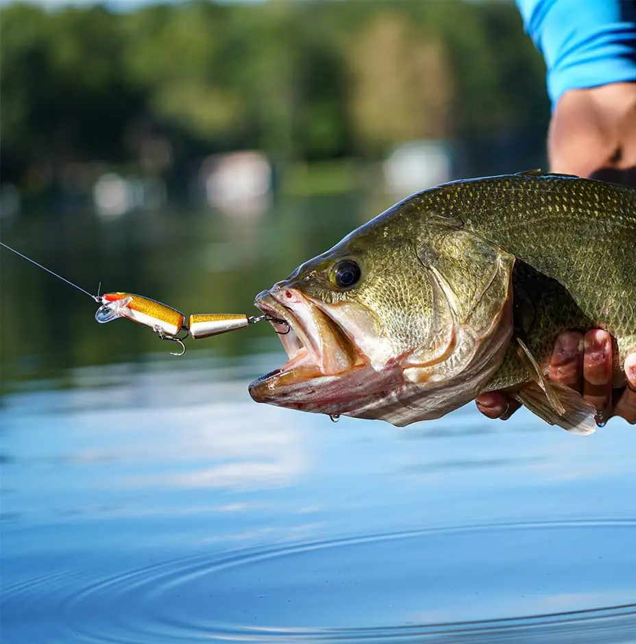 Rapala Jointed 13 Fishing lure 5.25-Inch | Pike Topwater Bait with Distress Action - view 3