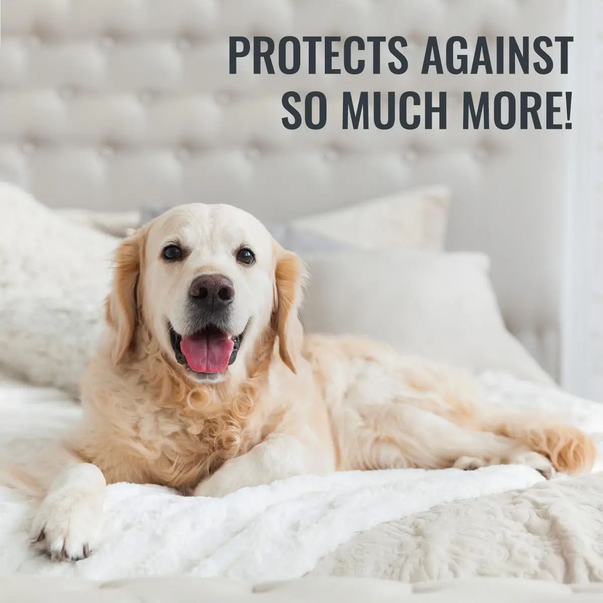 DMI Waterproof Mattress Cover Full | Zippered Fit, Durable & Quiet - view 8