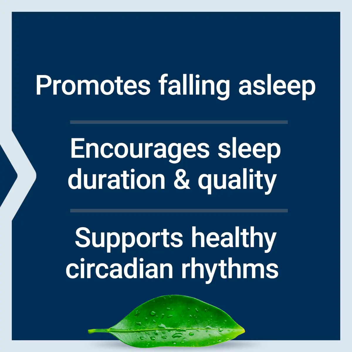 Life Extension Melatonin 3 mg Gluten-Free Chewable Lozenges | Optimal Sleep Support - view 3