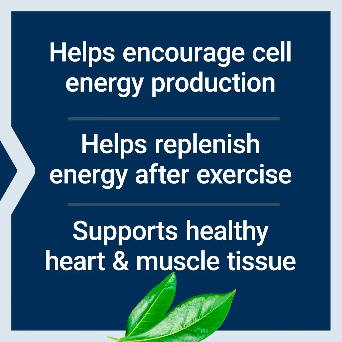 Life Extension D-Ribose Powder 150 Grams | Cellular Energy Support - view 4