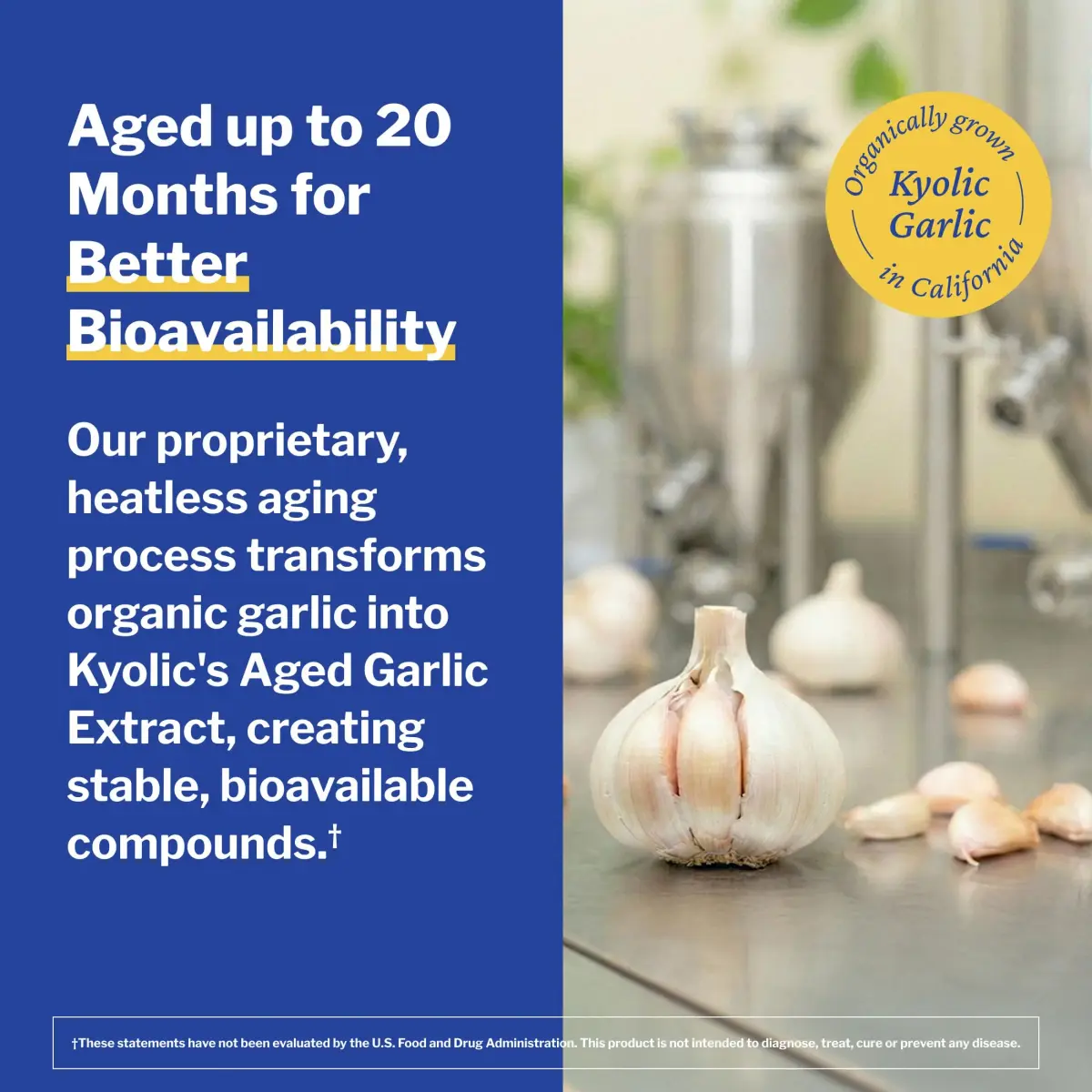Kyolic Aged Garlic Extract Cardiovascular Health Formula 100, 200 Capsules | Supports Circulatory Function with 1200 mg Aged Garlic Extract Daily - view 6