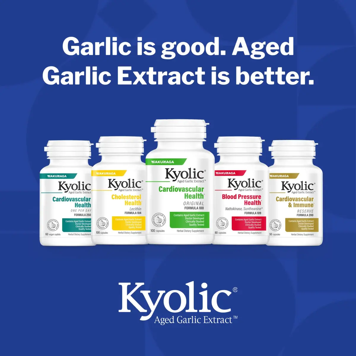 Kyolic Aged Garlic Extract Cardiovascular Health Formula 100, 200 Capsules | Supports Circulatory Function with 1200 mg Aged Garlic Extract Daily - view 8