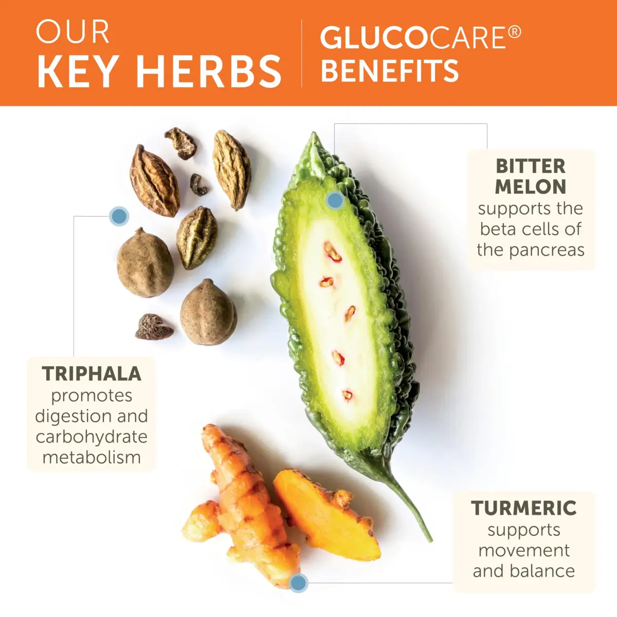 Himalaya GlucoCare Herbal Glucose Metabolism Supplement 90 Capsules | Supports Blood Sugar Levels Already Within Normal Range - view 4