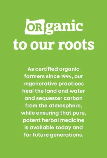Oregon's Wild Harvest Organic Milk Thistle 90 Count | USDA Certified Herbal Supplement for Liver & Detox - view 6
