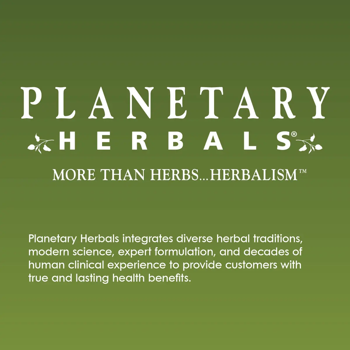 Planetary Herbals Stone Free Tablets, 90 Count | Kidney & Liver Support with Turmeric & Dandelion - view 5