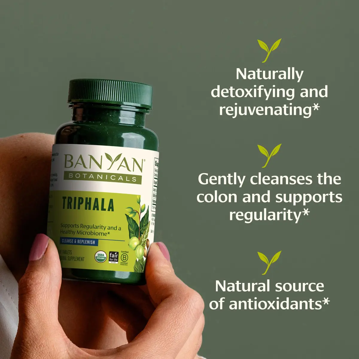 Banyan Botanicals Organic Triphala Tablets - Gentle Daily Digestion & Colon Support - 90 Tablets, Vegan, Non-GMO | Detox & Gut Microbiome Support - view 2