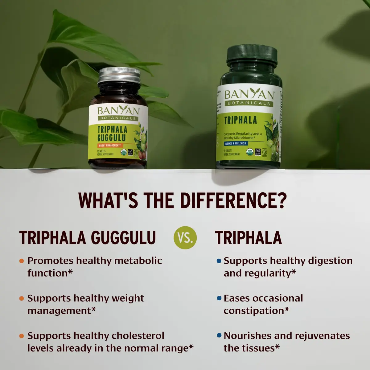 Banyan Botanicals Organic Triphala Guggulu Herbal Supplement 90 Count | USDA Organic Deep Tissue Detox - view 4