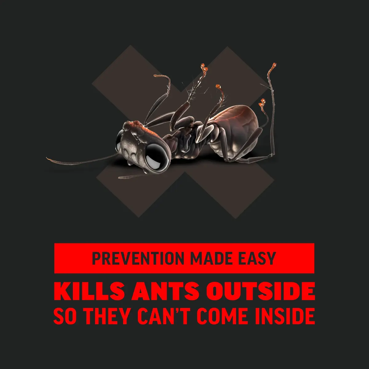 Amdro Ant Killer for Outdoor Home Perimeter Granules 24 Oz (680g) | Kills 25 Ant Species for 3 Months - view 5