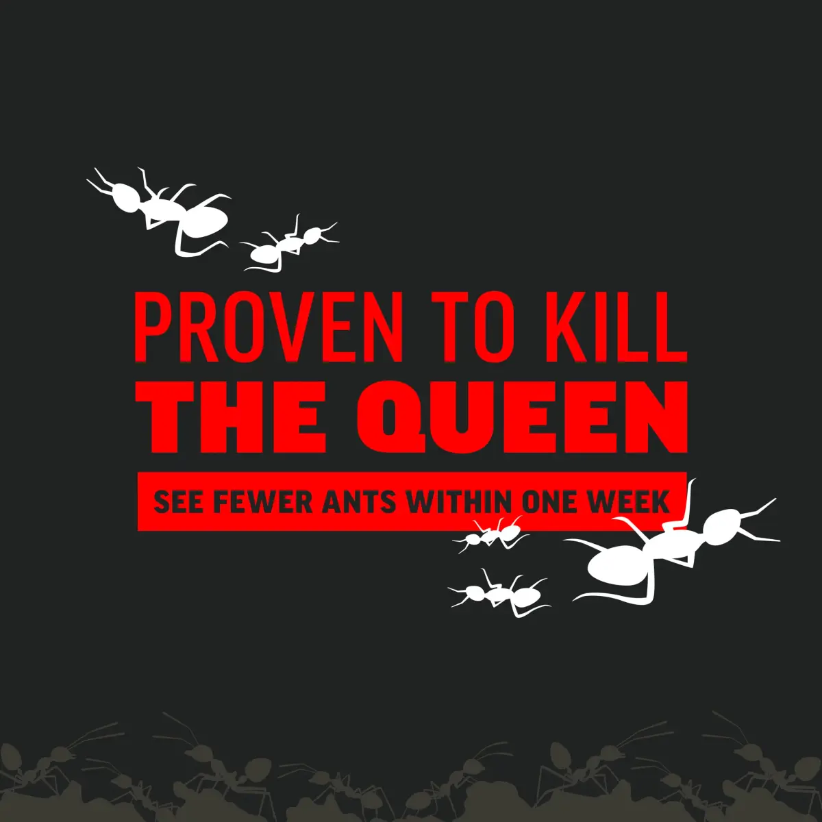 Amdro Ant Killer for Outdoor Home Perimeter Granules 24 Oz (680g) | Kills 25 Ant Species for 3 Months - view 6