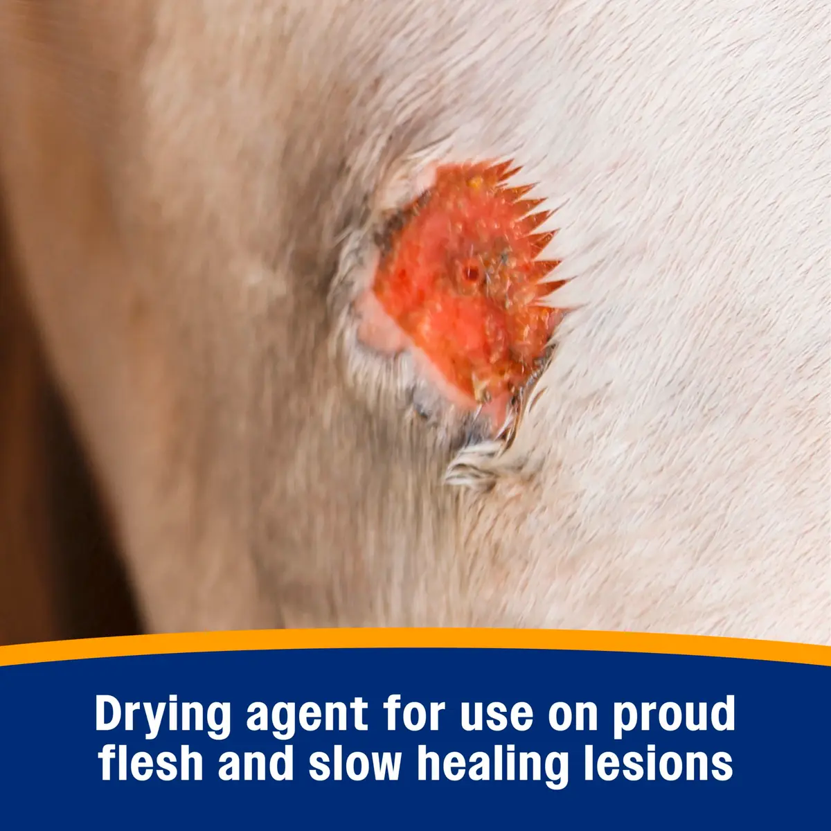 Farnam Wonder Dust Wound Powder 4 oz | Blood Coagulant for Horses & Livestock - view 5