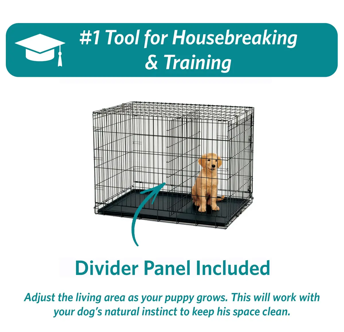 MidWest 24-Inch Double Door iCrate for Small Breeds 12-20 lbs | Secure & Foldable - view 6