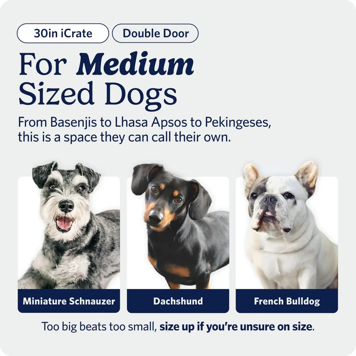 MidWest 30-Inch Double Door iCrate for Medium Breeds 21-40 lbs | Secure, Foldable & Durable - view 2