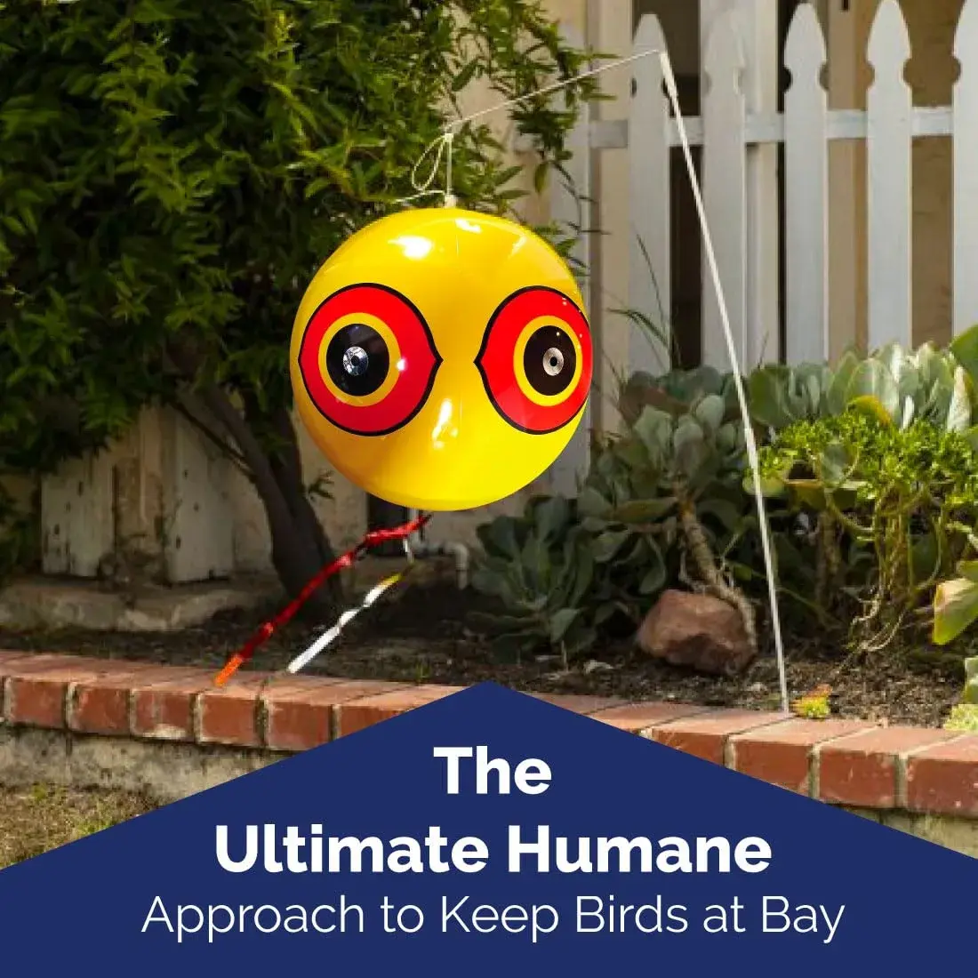 Bird-X Scare-Eye Balloon Predator Decoy 3 Colors (3 Count) | Scares Birds Pigeons - view 5