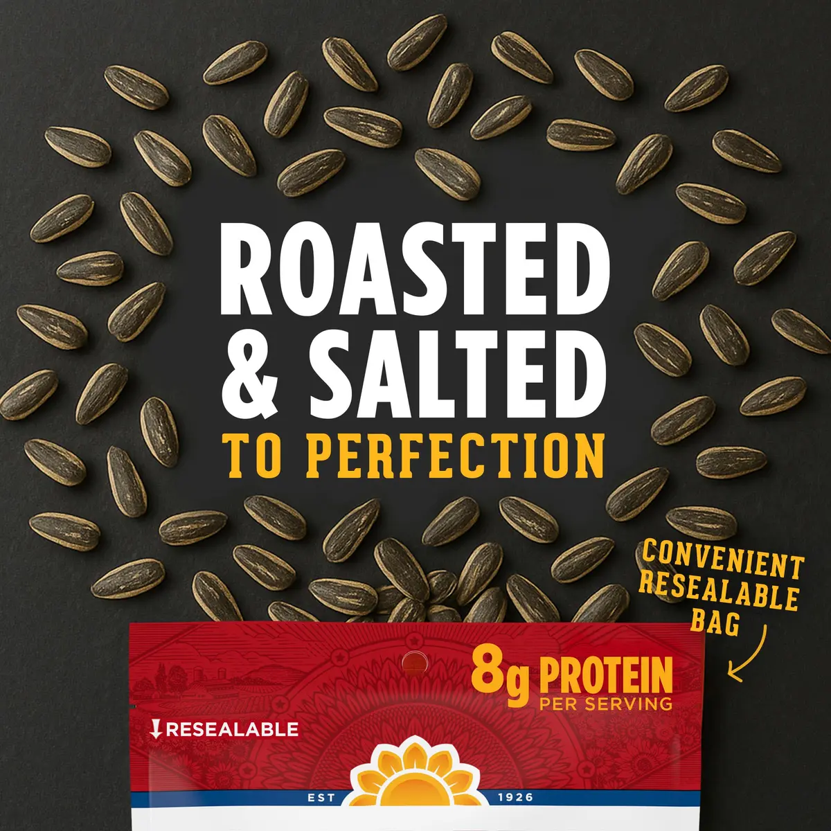 David Sunflower Seeds Jalapeño Hot Salsa Roasted & Salted 5.25 oz | Keto Friendly, 12 Pack - view 3
