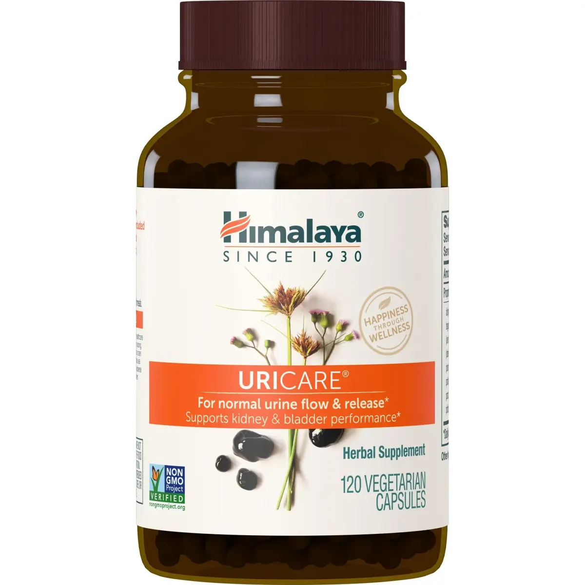 Himalaya UriCare Herbal Supplement 120 Capsules (4.23 oz) | Kidney & Bladder Support - main product image