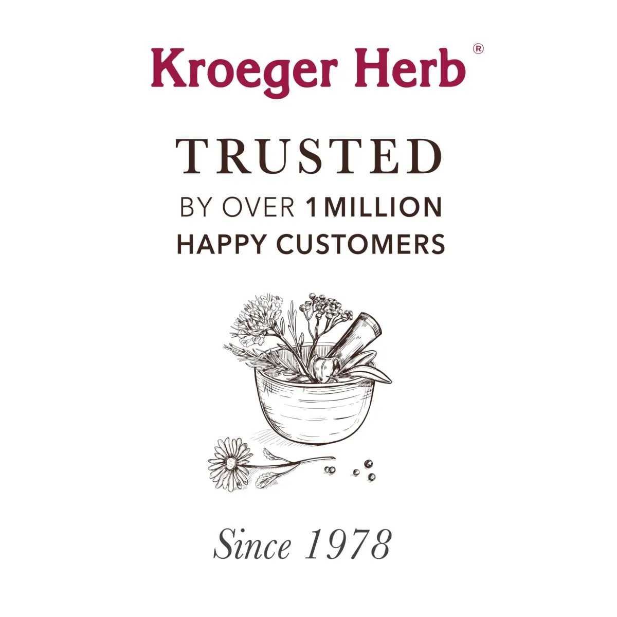 Kroeger Herb Products Wormwood Combination Digestive Support & Herbal Cleanse 100 Count Vegetarian Capsules | Natural Antioxidants for Daily Wellness - view 8