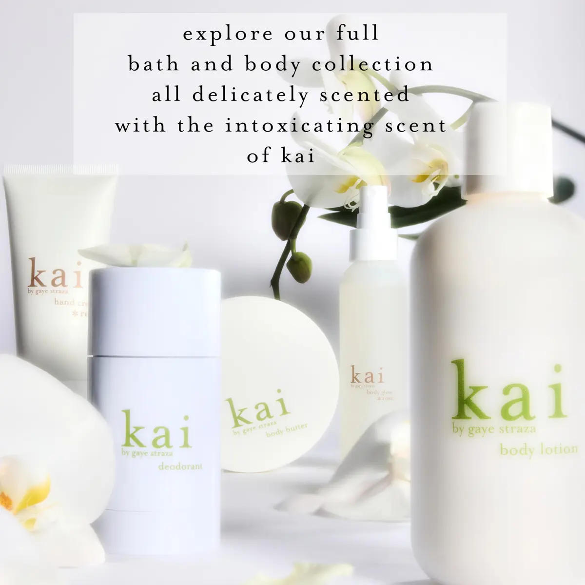 kai body lotion, 8 oz | Deeply nourishing, fast-absorbing moisturizer with shea butter & botanicals - view 5
