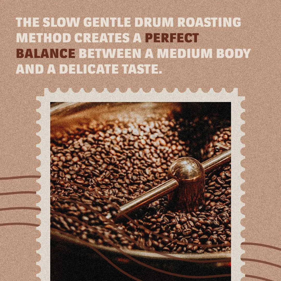 Lavazza Tierra! Selection Whole Bean Coffee Blend, Medium Roast, 2.2LB Bag | 100% Arabica, Rainforest Alliance Certified - view 2