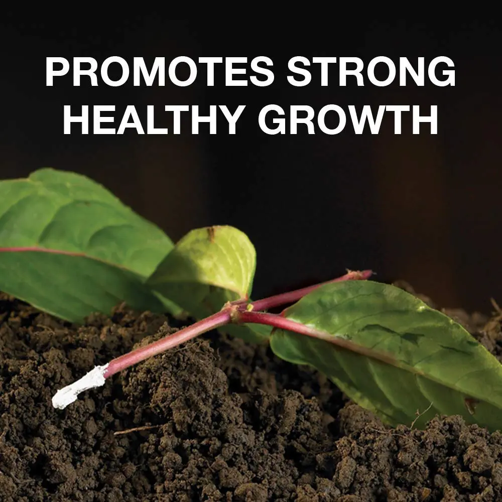 Doff Hormone Rooting Powder Plant & Cuttings 75g | Promotes Strong Roots All Year - view 2