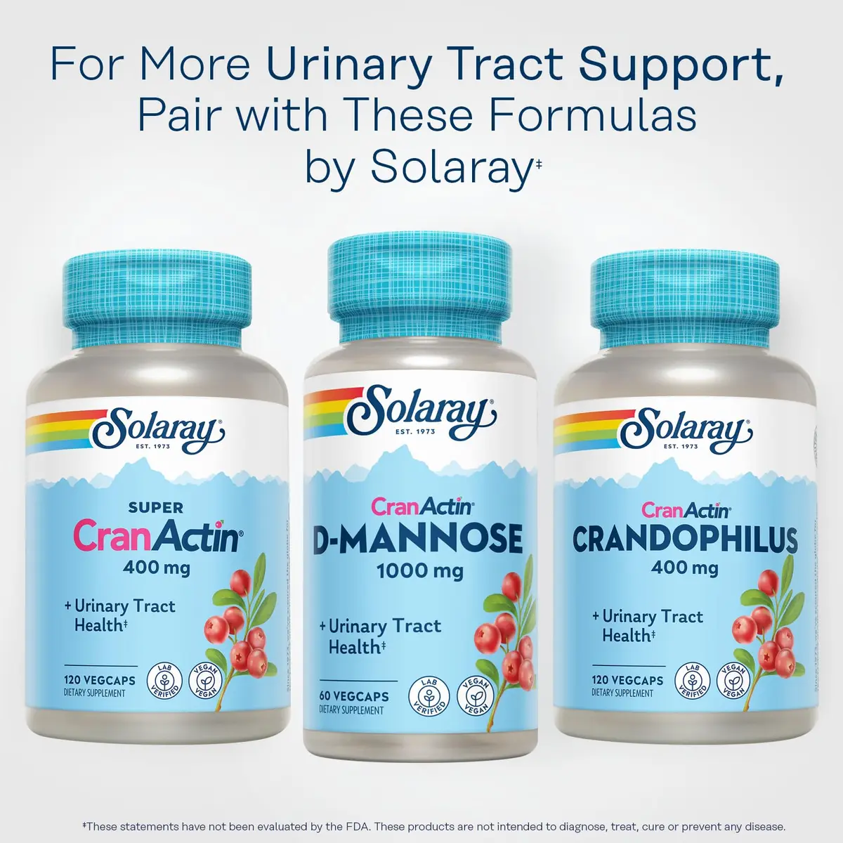 SOLARAY D-Mannose with CranActin Cranberry Supplement 60 Count | Urinary Tract Support & Wellness - view 6