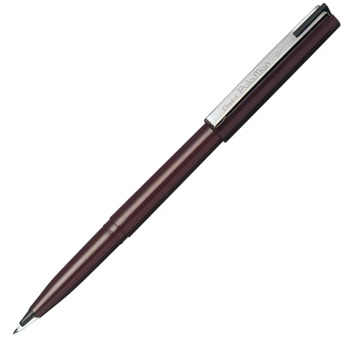 Pentel Pulaman MJ20 Disposable Fountain Pen with Plastic Nib, Black Ink, 1 Count (14.2cm) - main product image