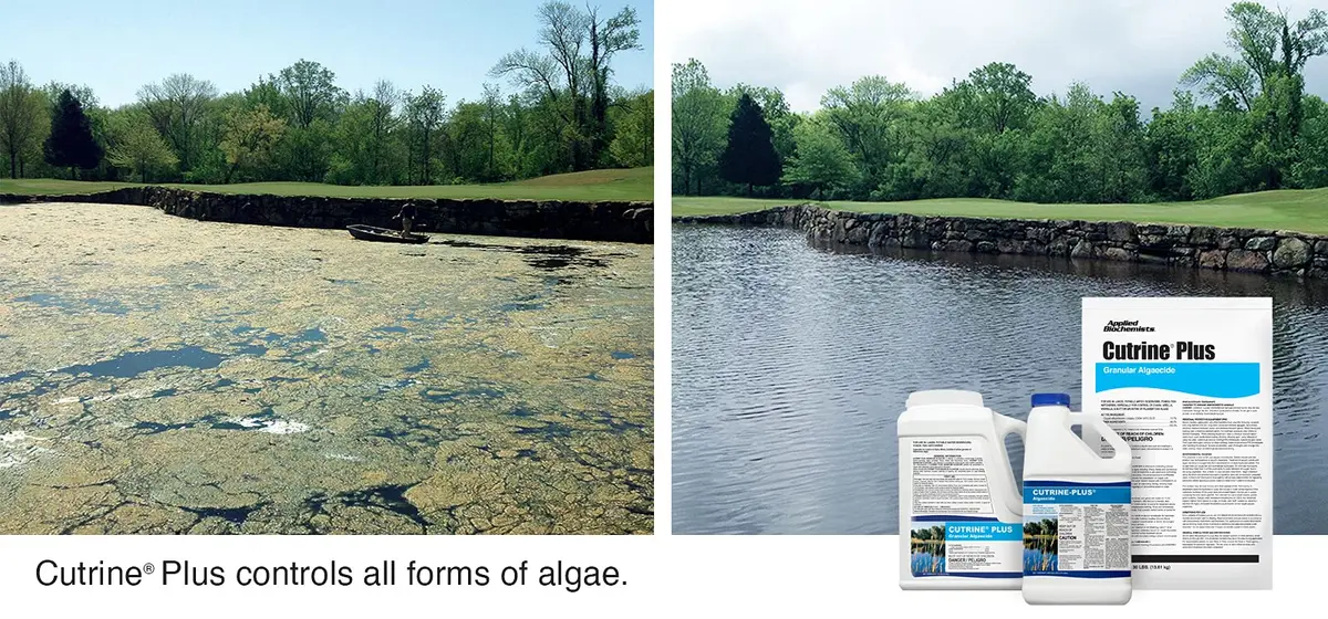 APPLIED BIOCHEMISTS Cutrine-Plus Granular Algaecide 12 lbs | Effective algae control for pools & ponds - view 2