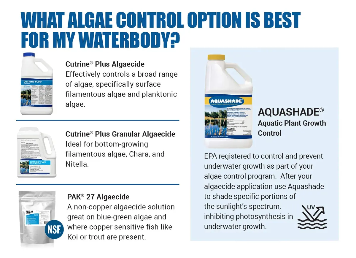 APPLIED BIOCHEMISTS Cutrine-Plus Granular Algaecide 12 lbs | Effective algae control for pools & ponds - view 3
