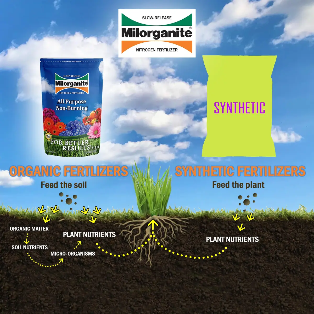 Milorganite All-Purpose Eco-Friendly Slow-Release Nitrogen 6-4-0 Fertilizer, 5 Pound Bag | Organic Lawn & Garden Feed - view 5