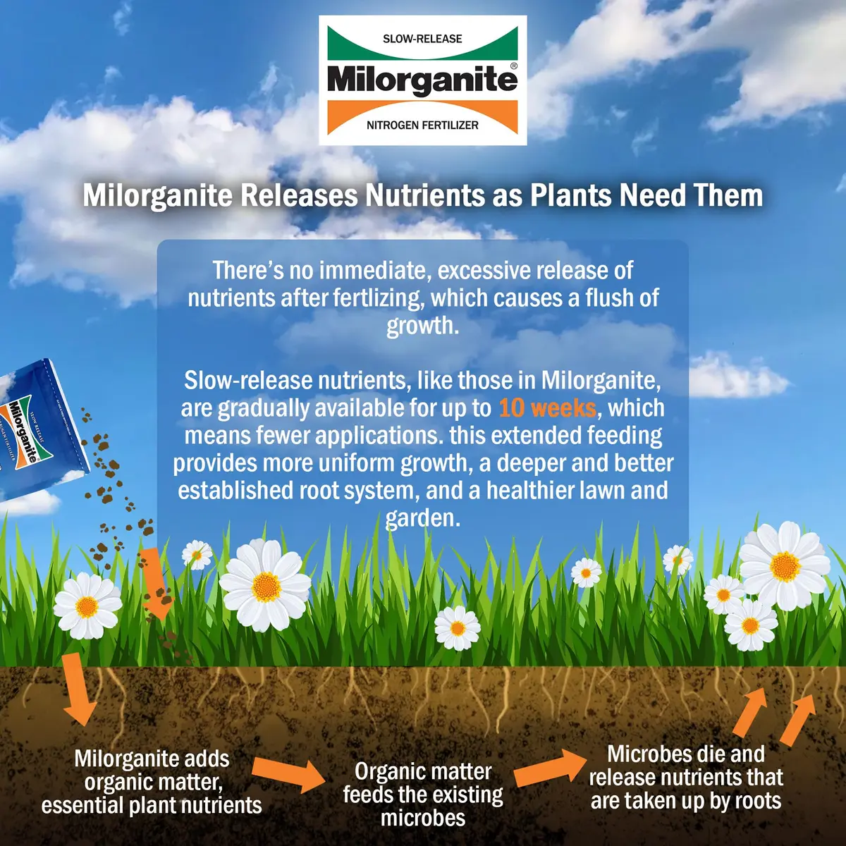 Milorganite All-Purpose Eco-Friendly Slow-Release Nitrogen 6-4-0 Fertilizer, 5 Pound Bag | Organic Lawn & Garden Feed - view 4