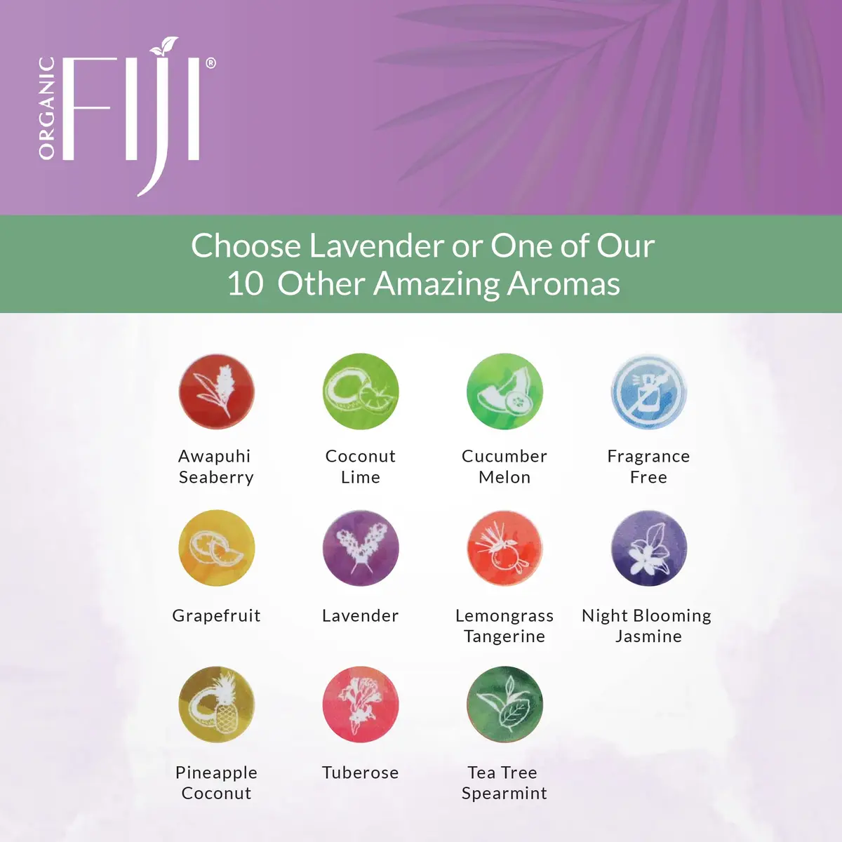 Organic Fiji Coconut Oil Infused Face & Body Lotion 12 oz | Deep Moisturizer for Sensitive Skin - view 7