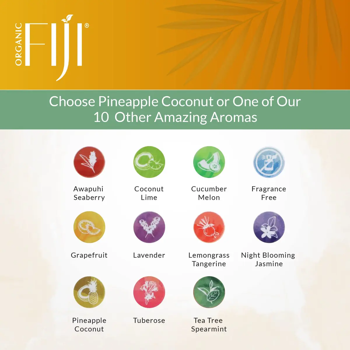 Organic Fiji Coconut Face & Body Lotion 12 oz | Deep Moisturizer for Dry & Sensitive Skin - view 6