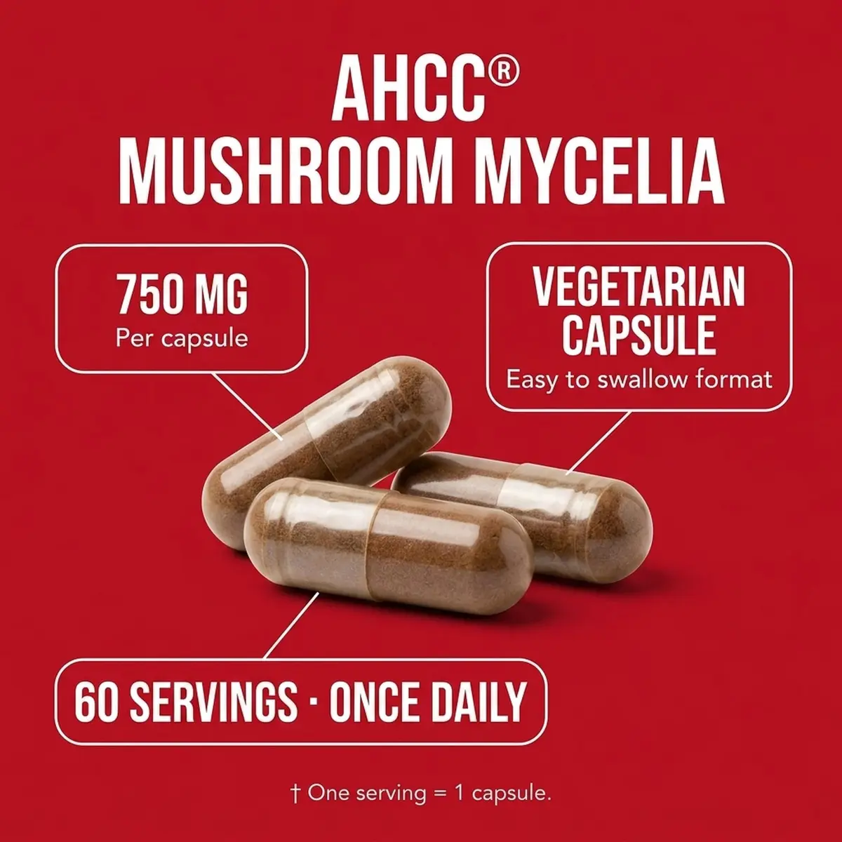 Olympian Labs Premium AHCC Supplement–750mg of AHCC per Capsule–Supports Immune Health, Liver Function, and Natural Killer Cell Activity- 60 Caps - view 2