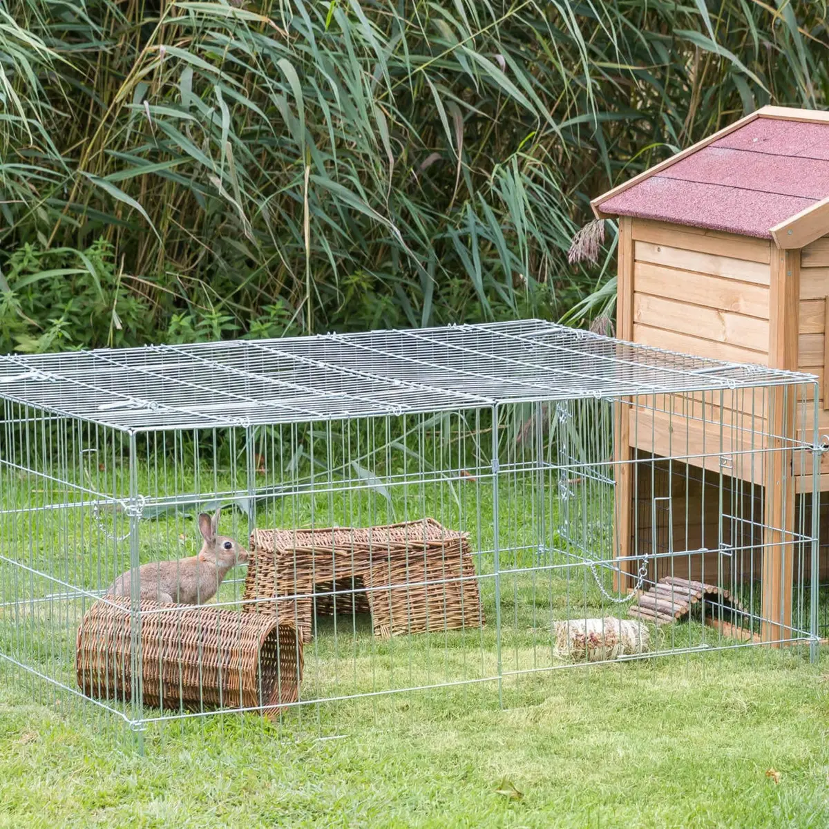 TRIXIE Enclosed Outdoor Run 34 cu. ft. | Heavy-Duty Galvanized Metal Pet Cage - view 3