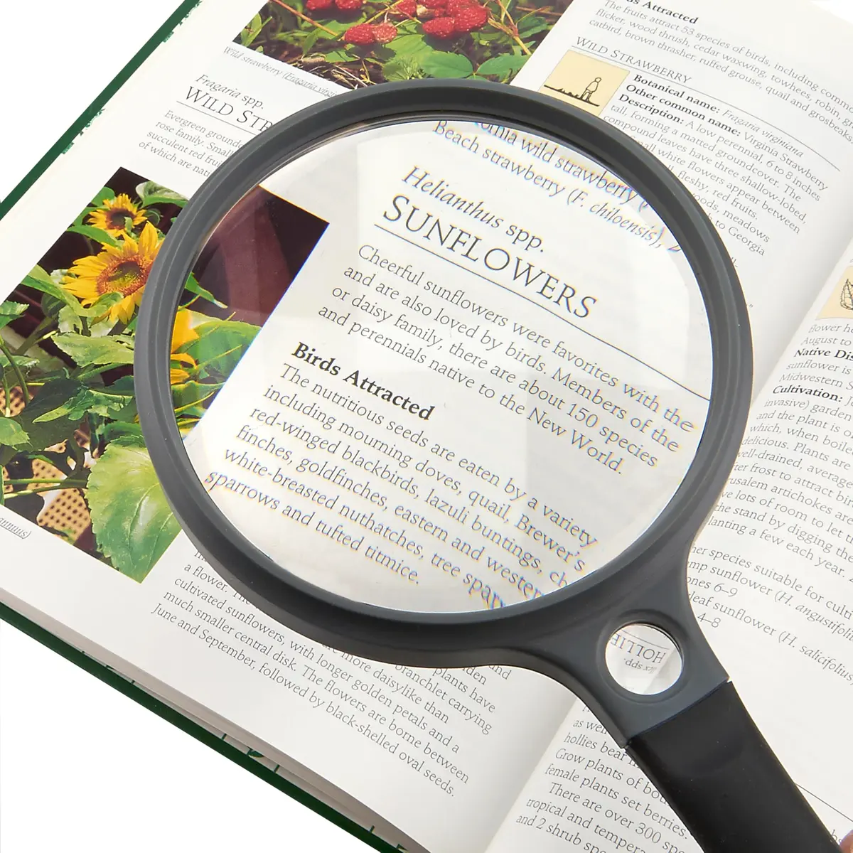 Carson SureGrip 2x Acrylic Magnifier 4.3 inch | Soft-Grip Handheld for Close Inspection - view 3