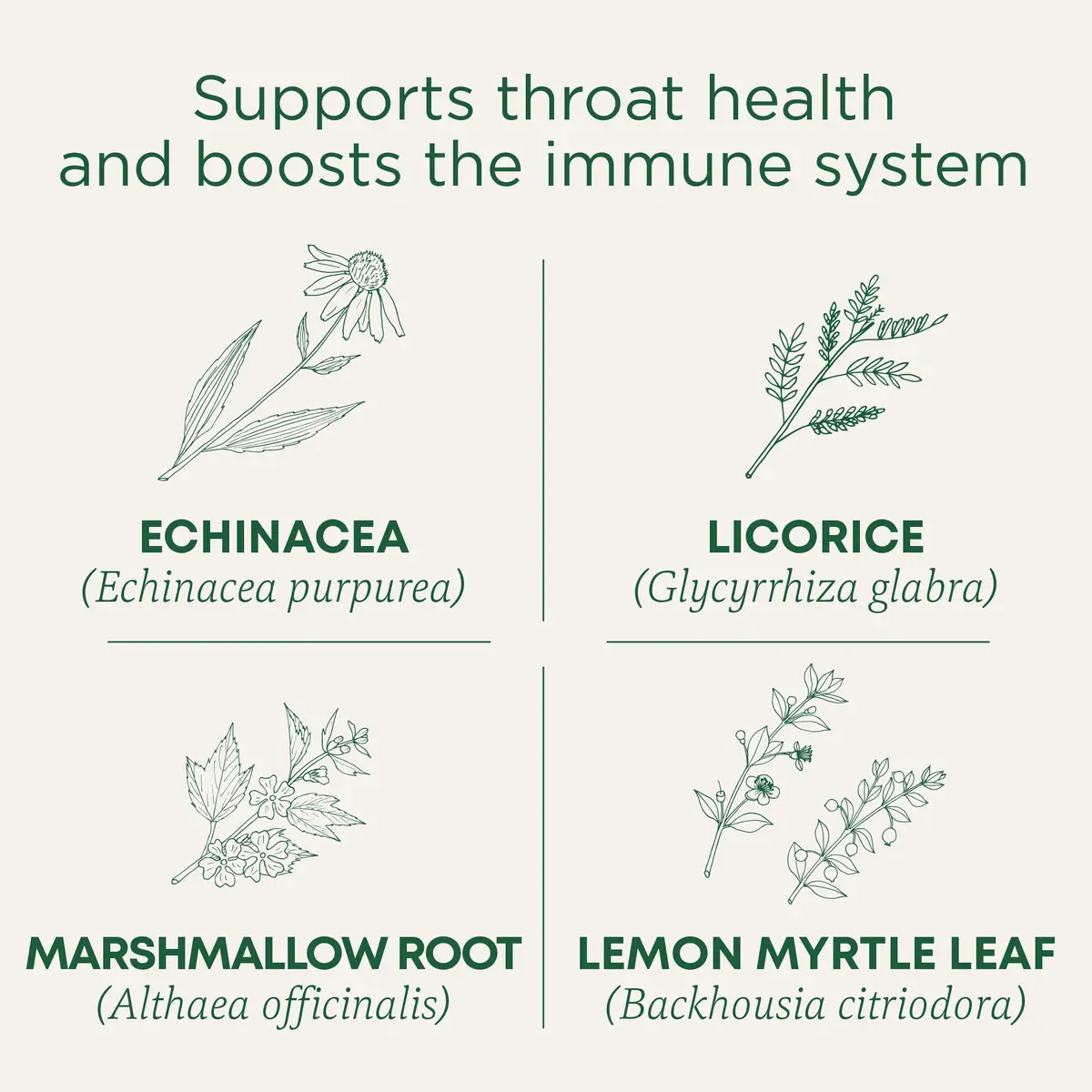 Traditional Medicinals Organic Throat Coat Lemon Echinacea Tea 16 ct | Supports Throat Health & Immune System - view 2