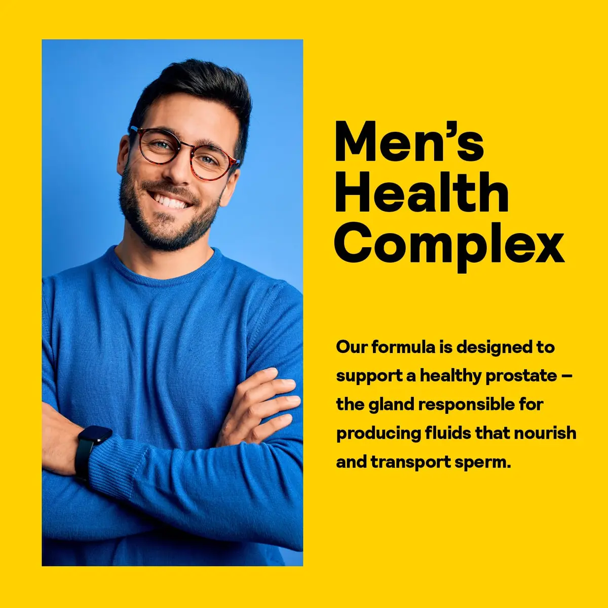 Nature's Life Prostate Maintain 250 Vegetarian Capsules (250 Count) | Men's Health & Prostate Support - view 4