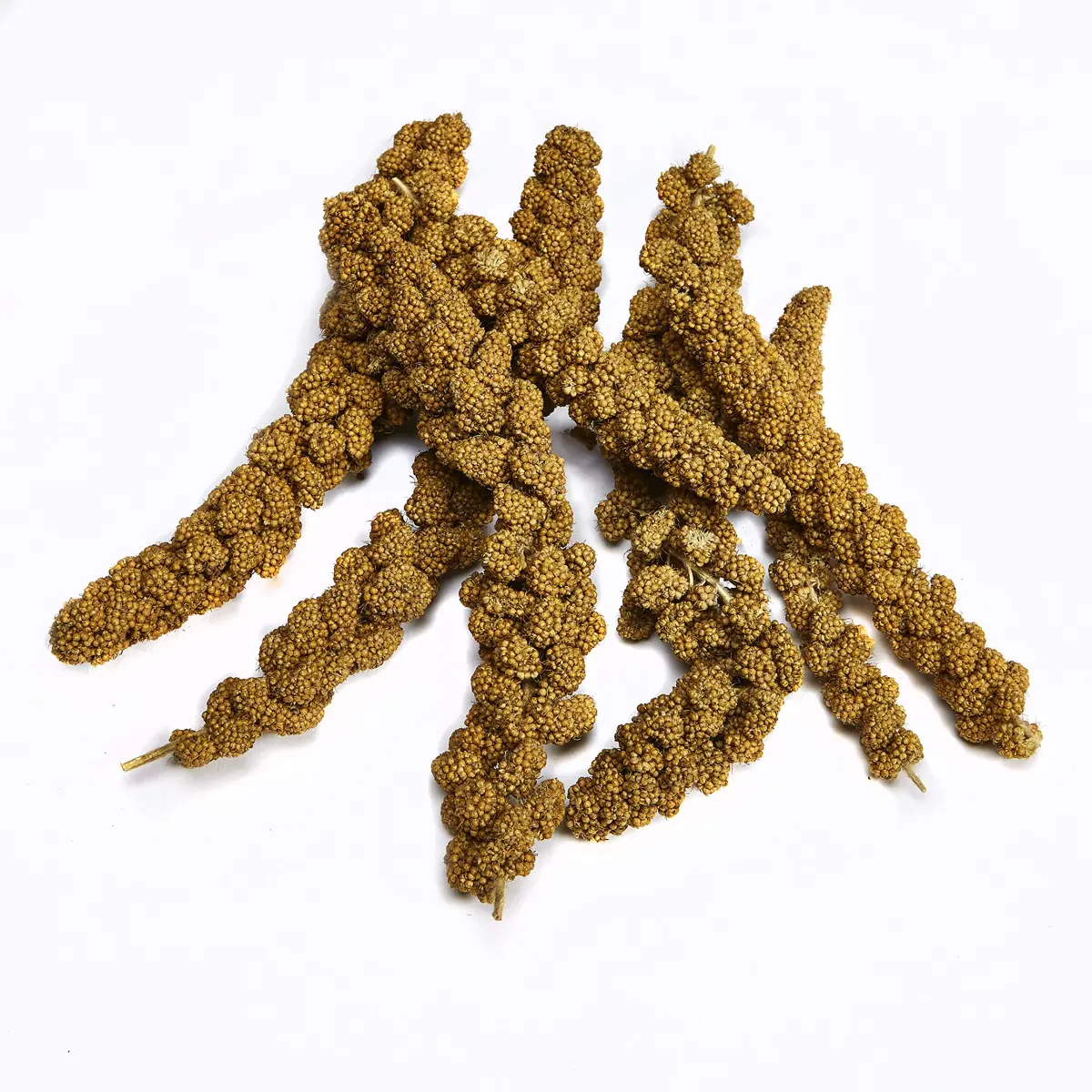 Kaytee Natural Spray Millet Treat for Pet Birds, 200g (7 oz) | All-Natural Foraging Enrichment - view 2