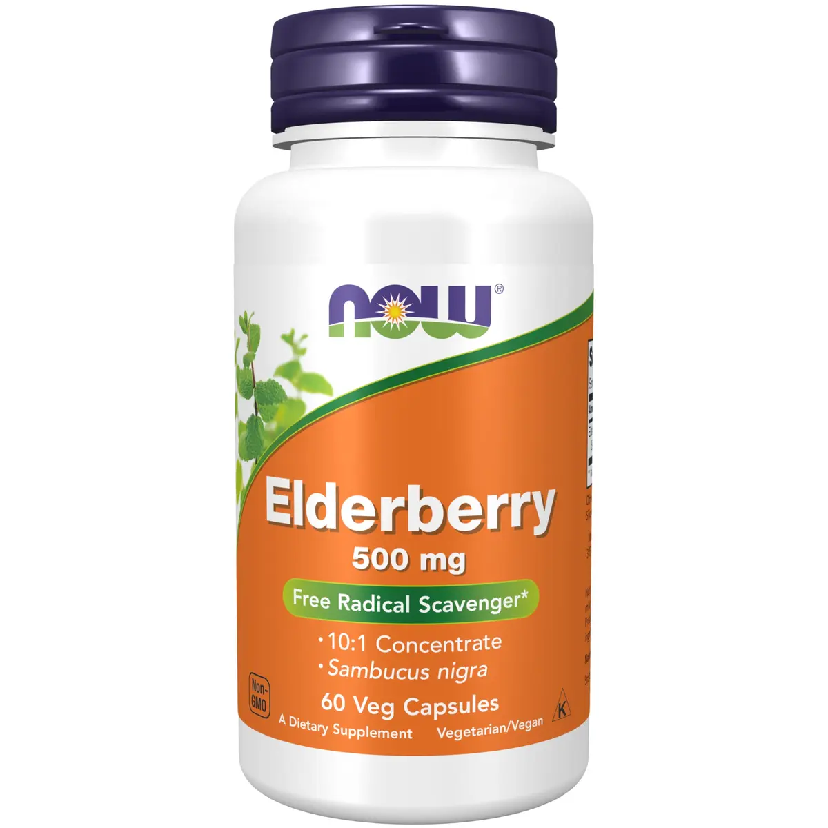 NOW Elderberry 500 mg | Vegetarian Capsules for Immunity & Antioxidants in India - main product image