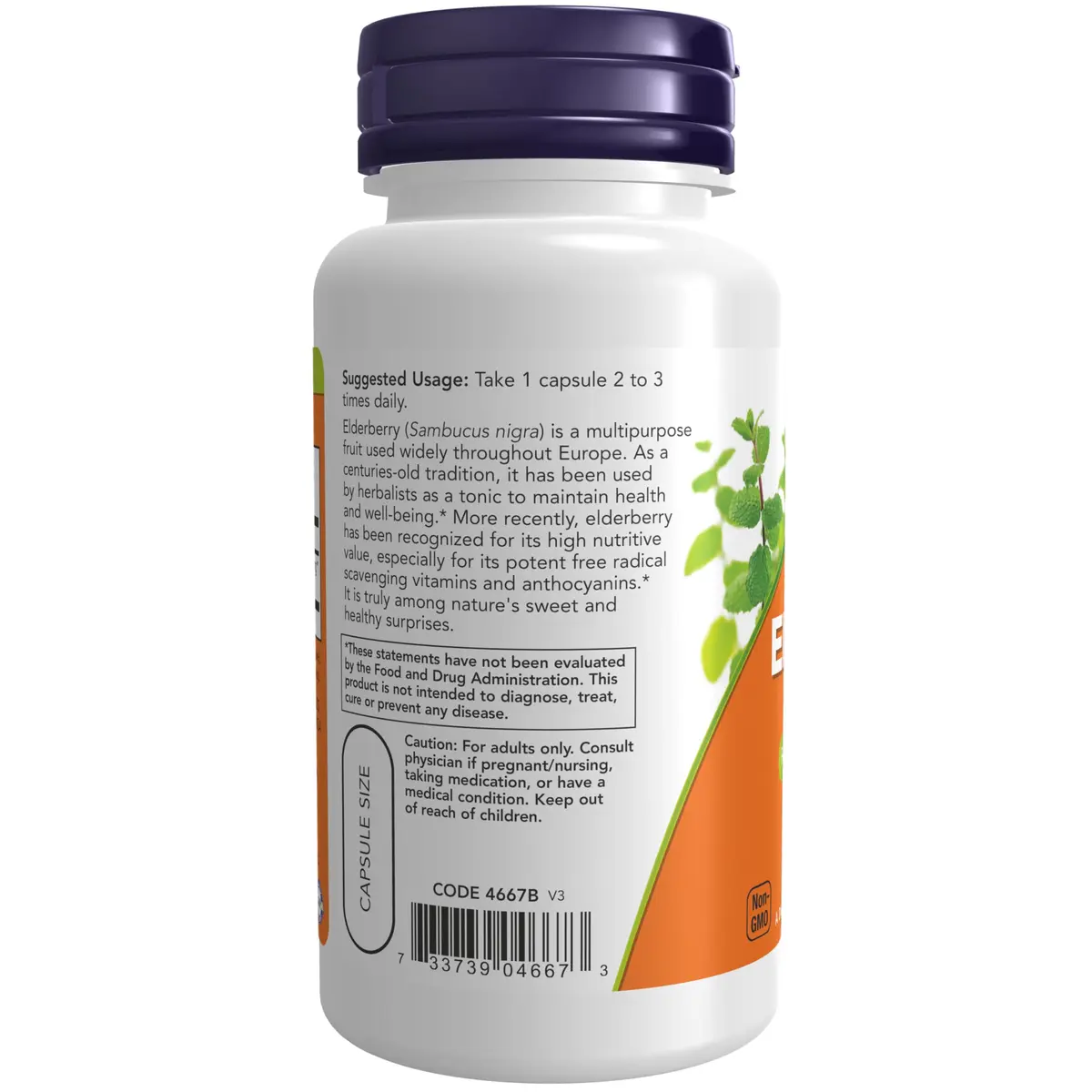 NOW Elderberry 500 mg | Vegetarian Capsules for Immunity & Antioxidants in India - view 3