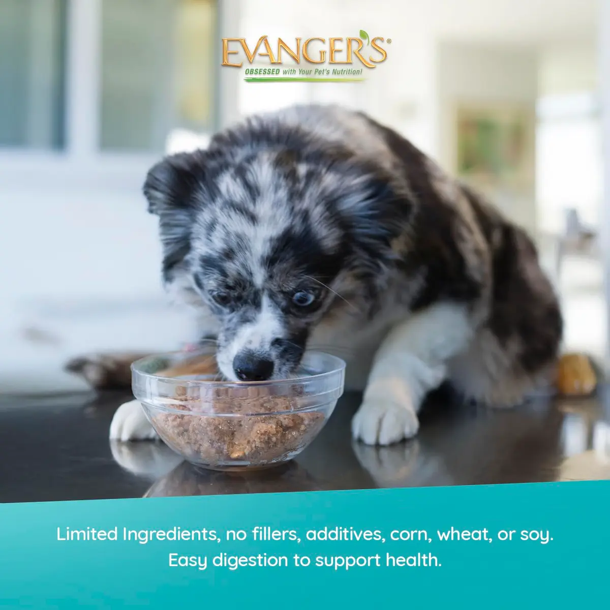 Evanger's Heritage Classic Beef with Chicken Dog Food – 12 Pack, 12.5 oz Each | Grain & Gluten Free - view 3