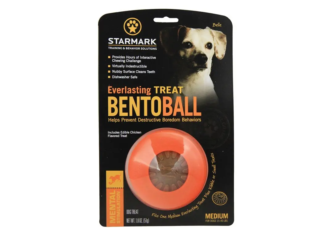 Starmark Everlasting Treat Bento Ball Medium Dog Toy | Durable Chew & Treat Dispenser in Day Glo Orange - main product image