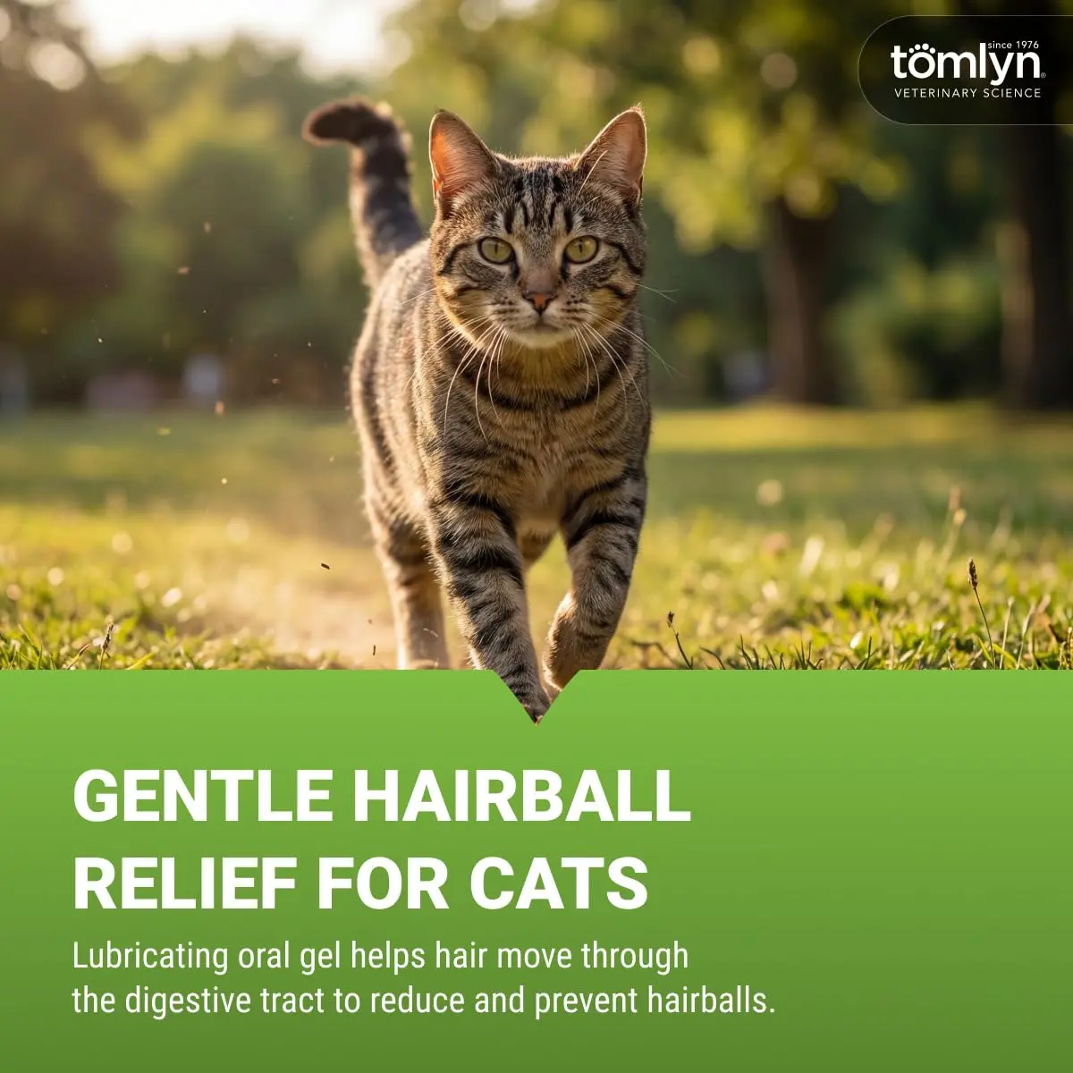 Tomlyn Hairball Gel for Cats with Catnip | Effective Hairball Prevention & Relief, 4.25 oz - view 2