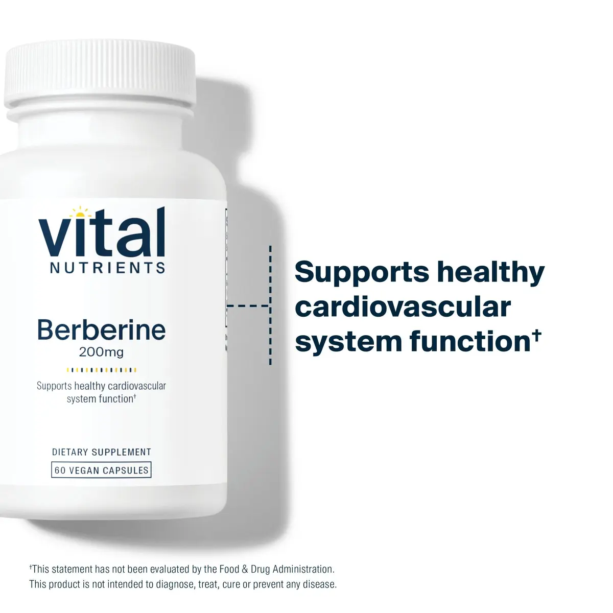 Vital Nutrients Berberine 200 mg | Supports Heart & Gut | Vegan, Gluten-Free, 60 Capsules - view 7