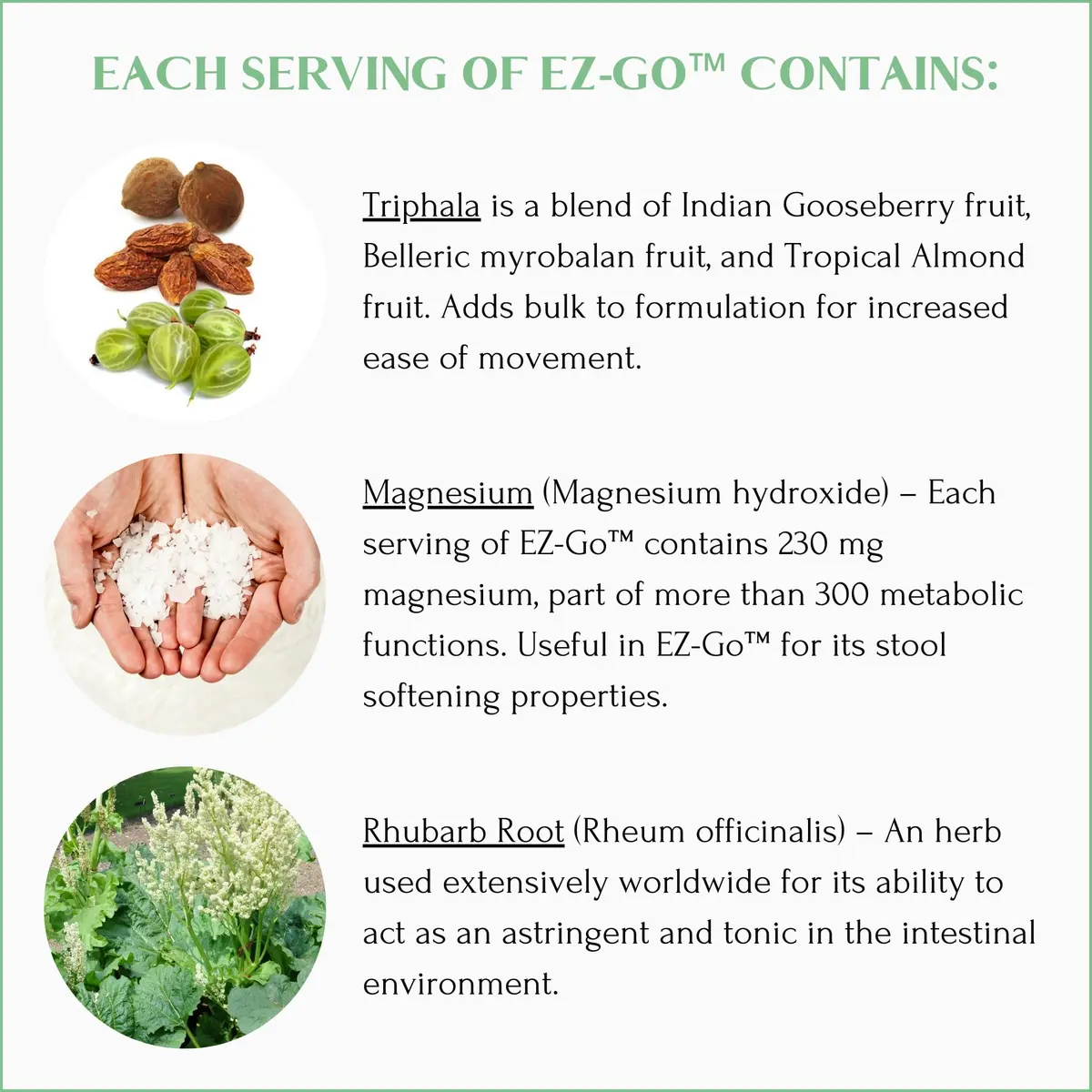 Mt. Capra EZ-Go Herbal Stool Softener 60 Capsules | Gentle Colon Support with Natural Fibers - view 6