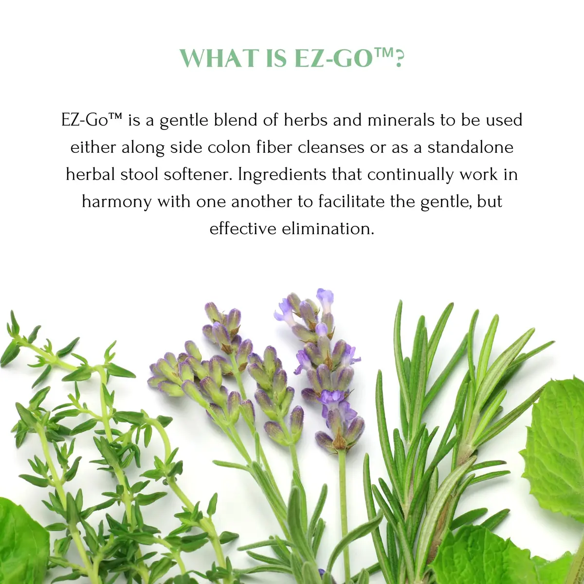 Mt. Capra EZ-Go Herbal Stool Softener 60 Capsules | Gentle Colon Support with Natural Fibers - view 4