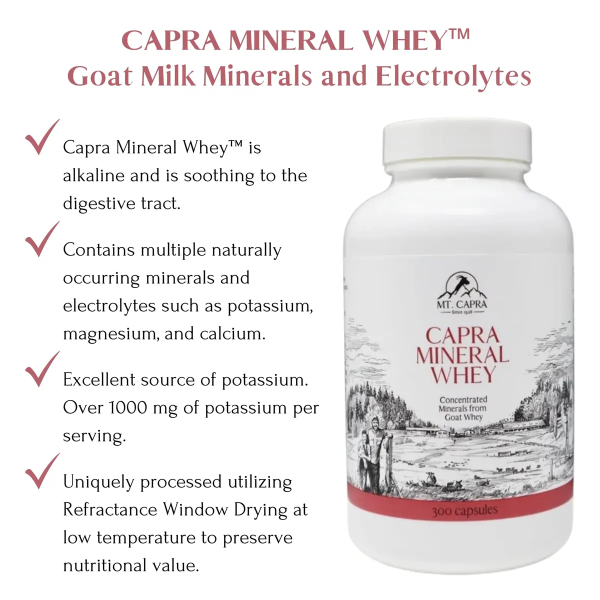 Mt. Capra Mineral Whey | from Goat Milk Whey | 300 Capsules | Rich in Potassium & Minerals - view 3