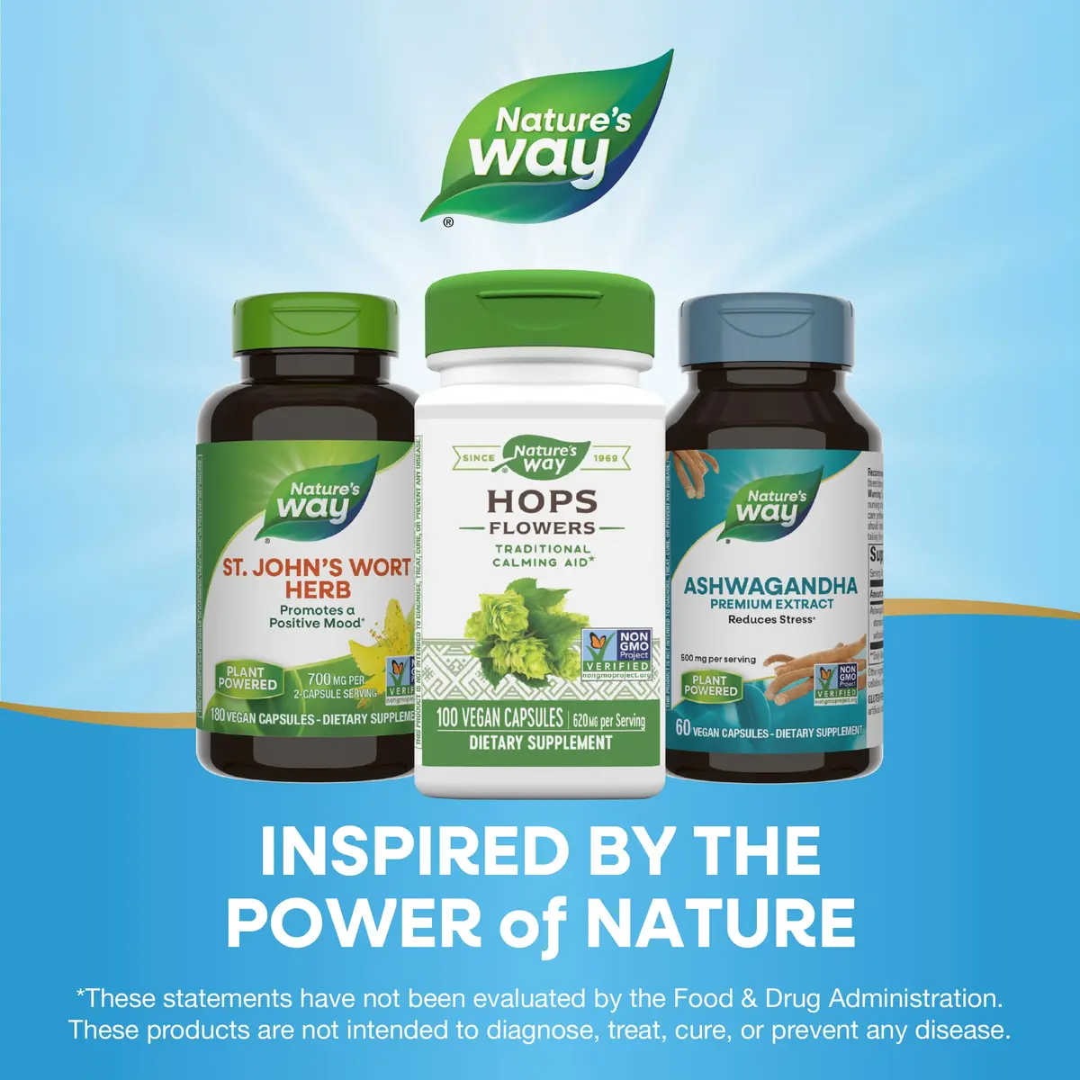 Nature's Way Premium Herbal Hops Flowers 620 mg | Traditional calming aid for nervous system support in India - view 6